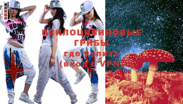 PSILOCYBIN Абинск