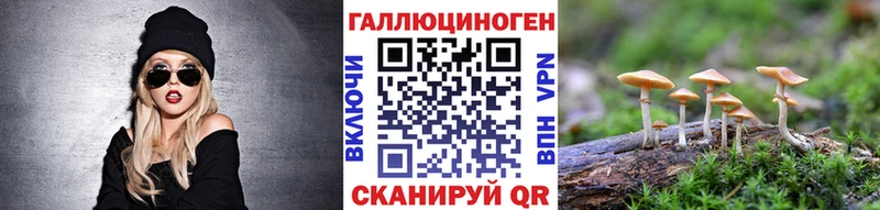 цена   Темников  Псилоцибиновые грибы прущие грибы 